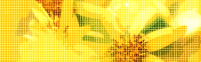 ブランド物のアンブレラを購入しよう！